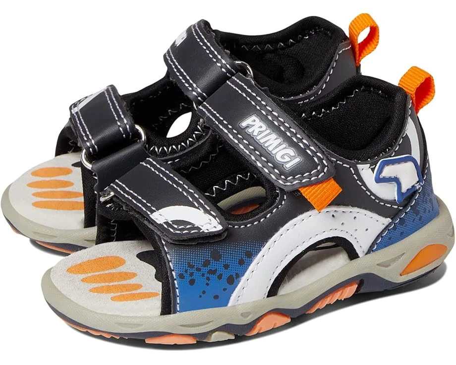 Primigi Kids 19531 (Toddler/Little Kid) Primigi Kids 19531 (Toddler/Little Kid) -Kids Footwear 71PKirn 9XL. AC SR920736
