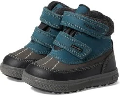 Primigi Kids 28568 (Toddler/Little Kid)